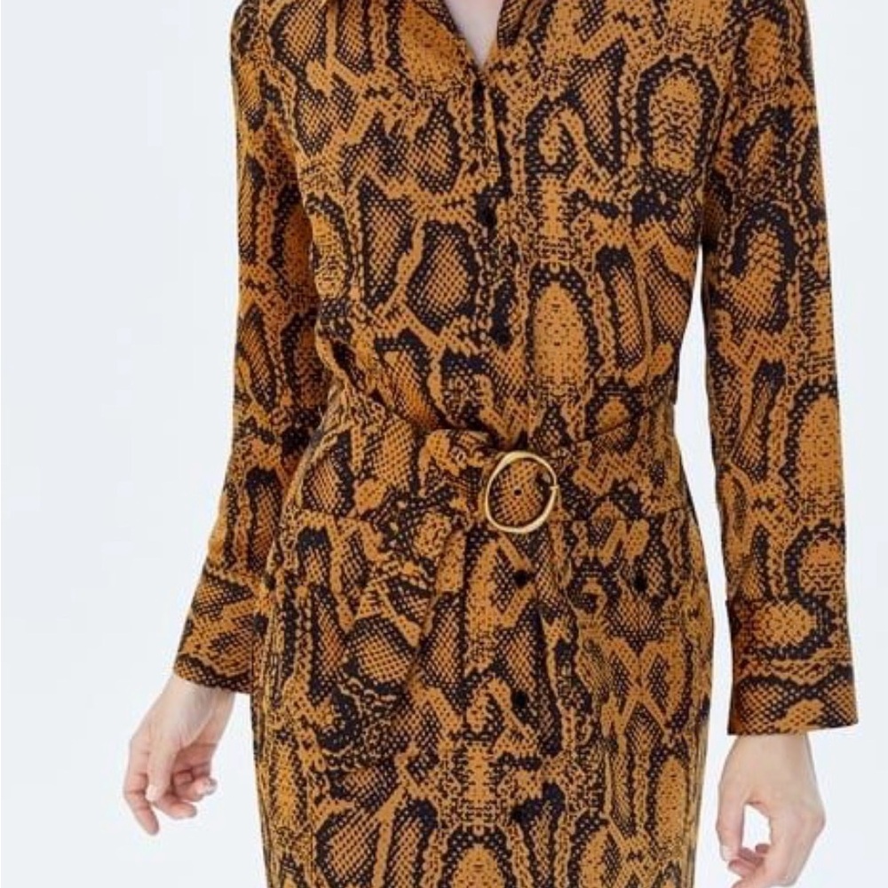 Zara Animal Print Dress with Belt